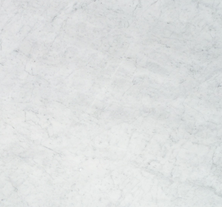Close-up of Carrara White Marble 12x12 tile showing classic soft gray veining on white background