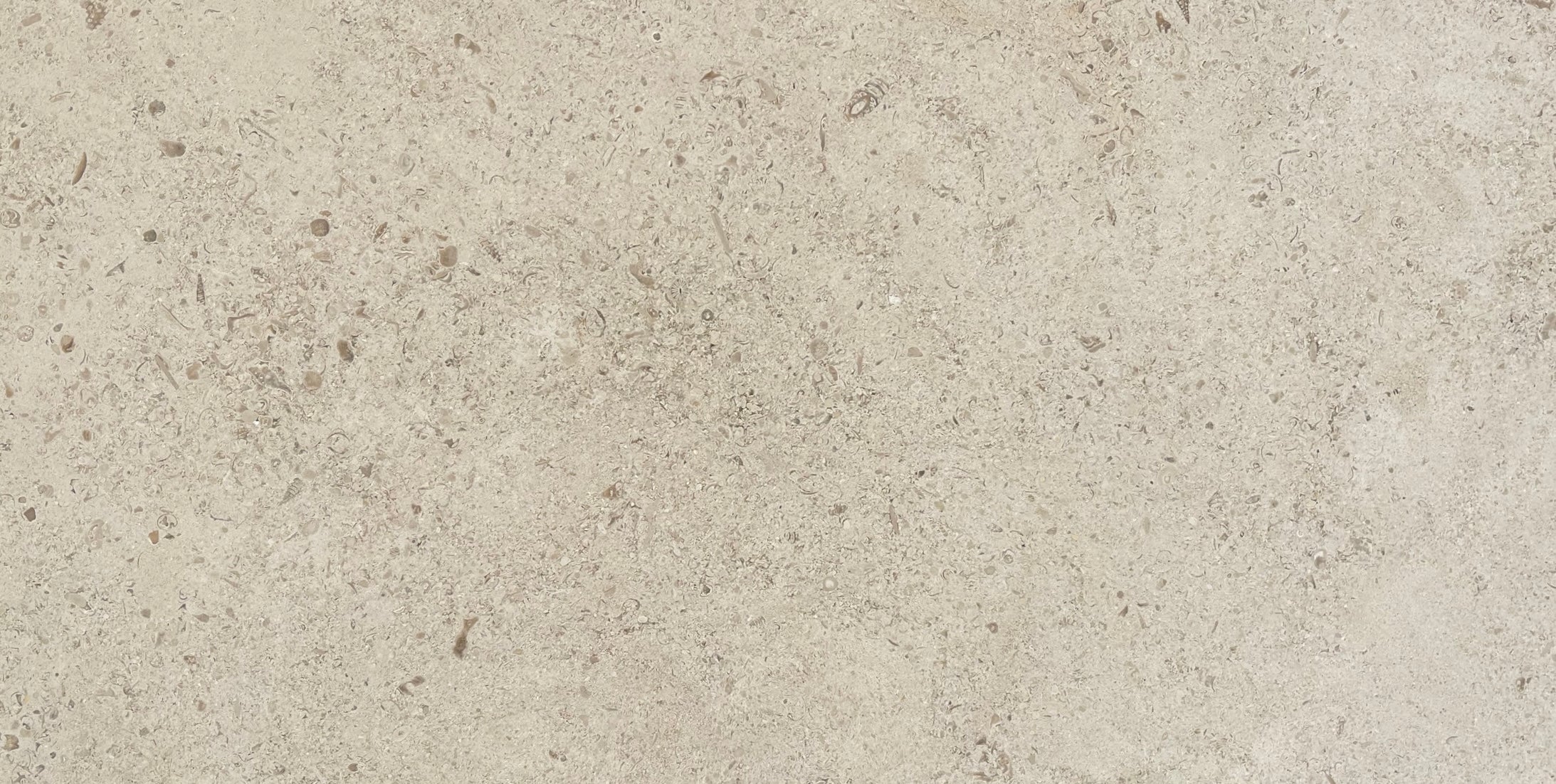 12x24 Belgian limestone honed tile
