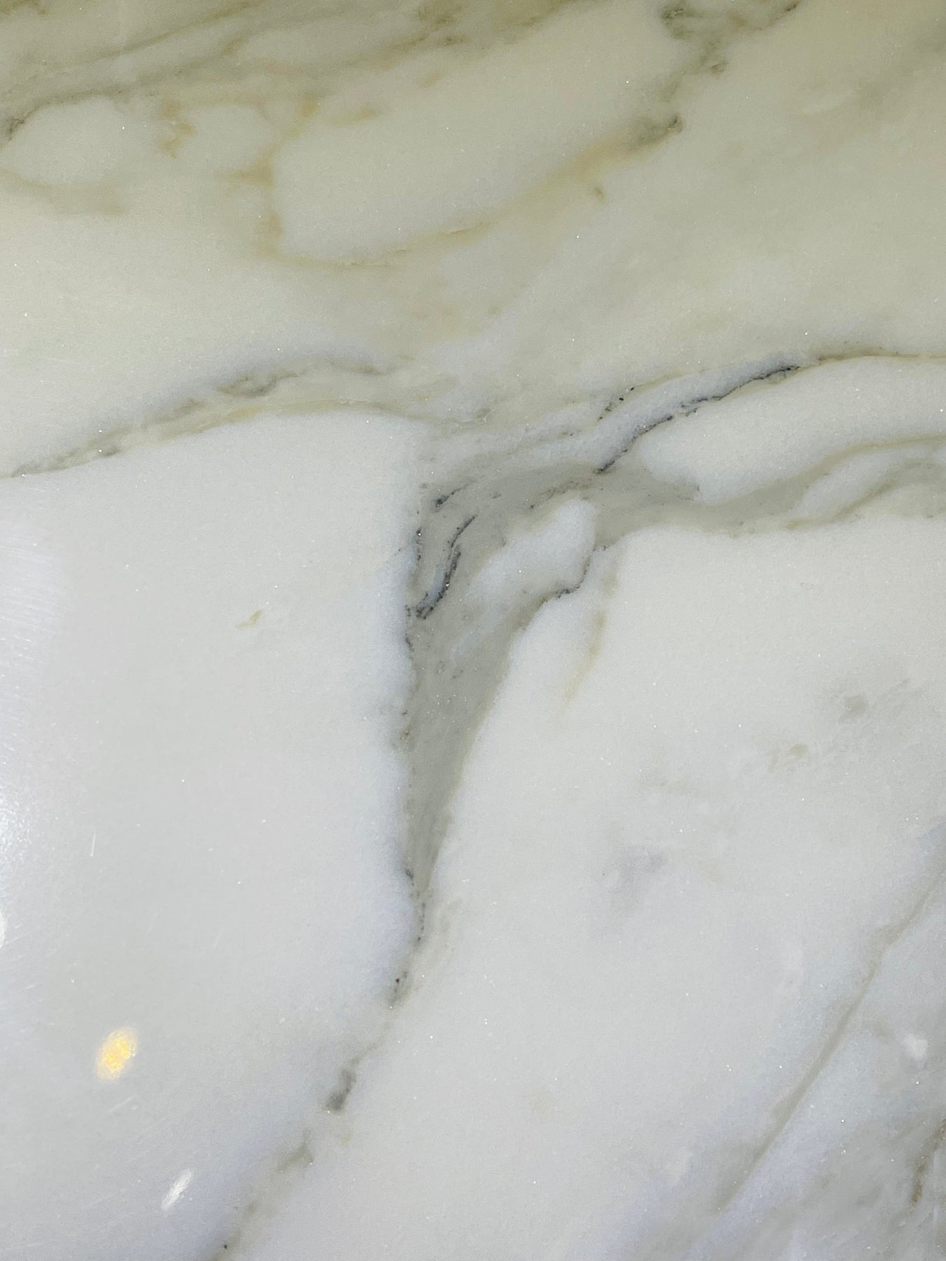 Close-up of Calacatta 12x24 tile showing elegant veining and polished surface