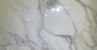 Flat view of Calacatta 12x24 Marble Tile in polished finish