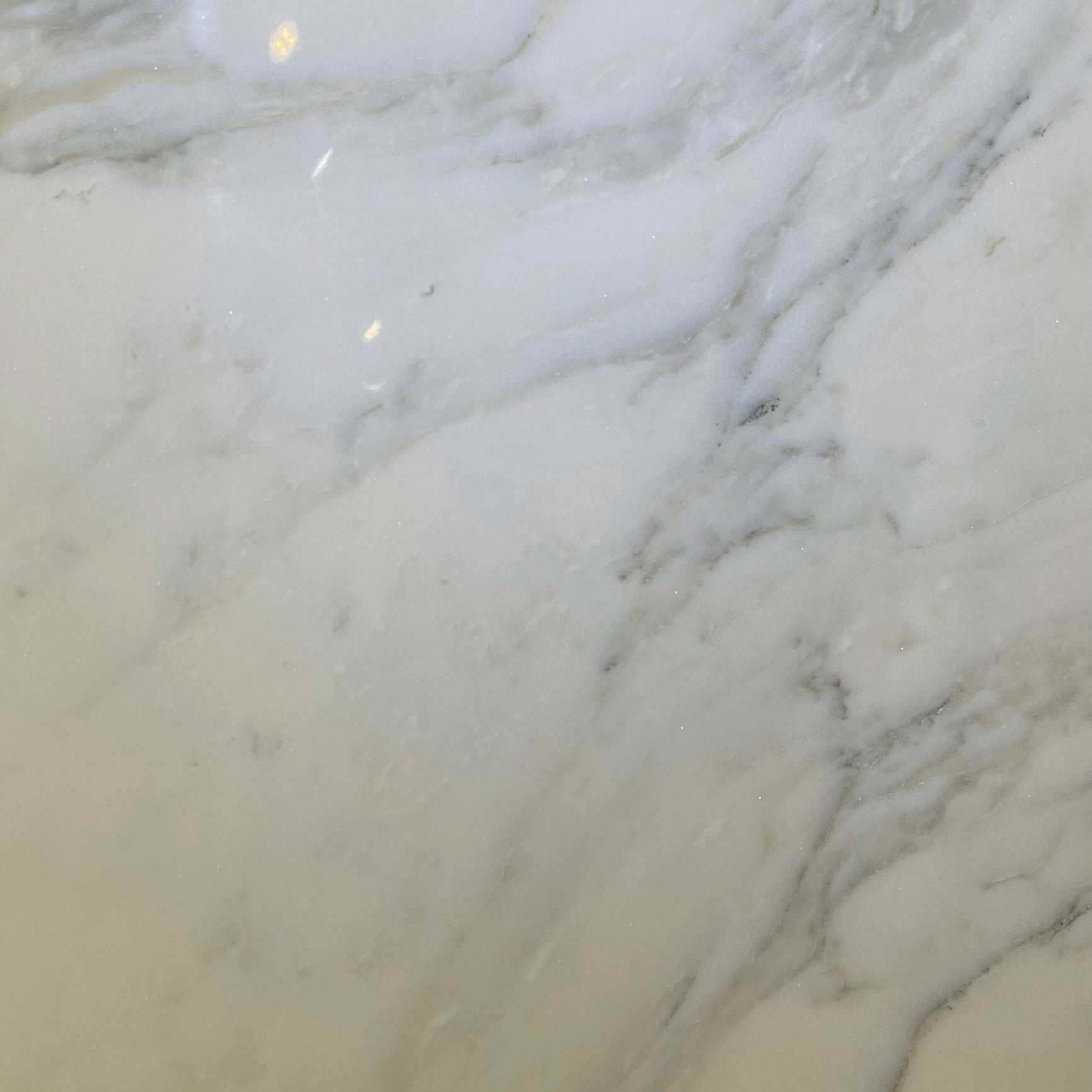 Flat view of Calacatta 18x36 Marble Tile in polished finish