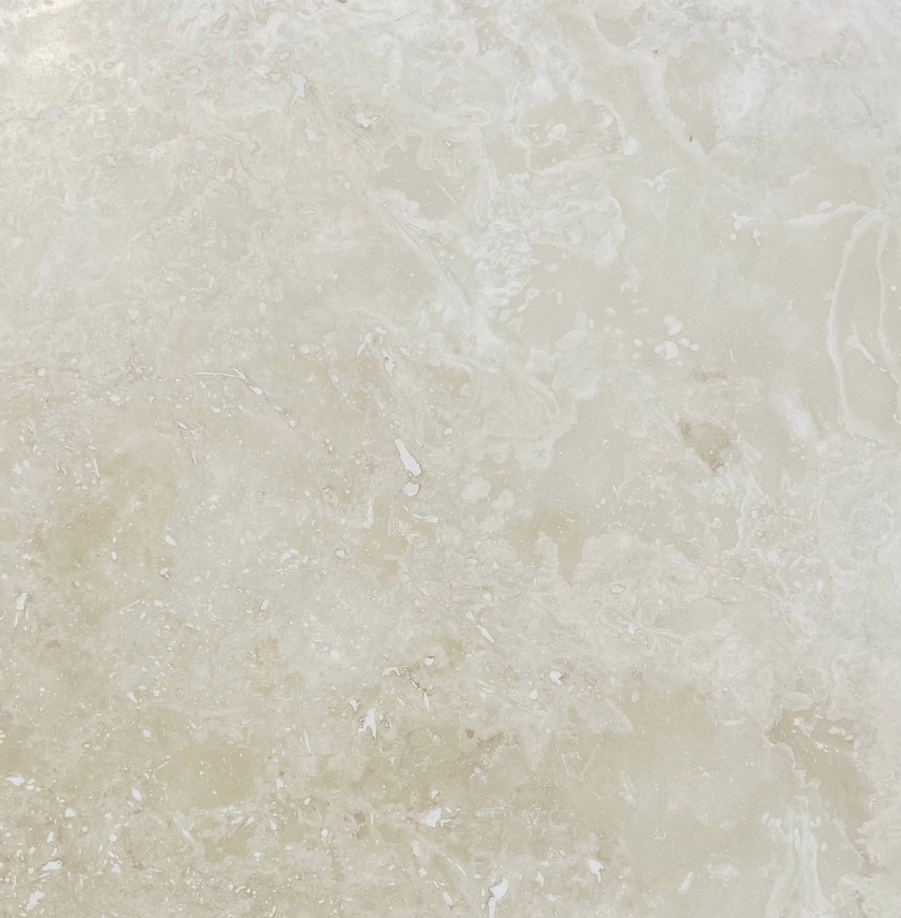 Flat view of Ivory Travertine Tile in honed finish, 24x24 size with cream and beige tones