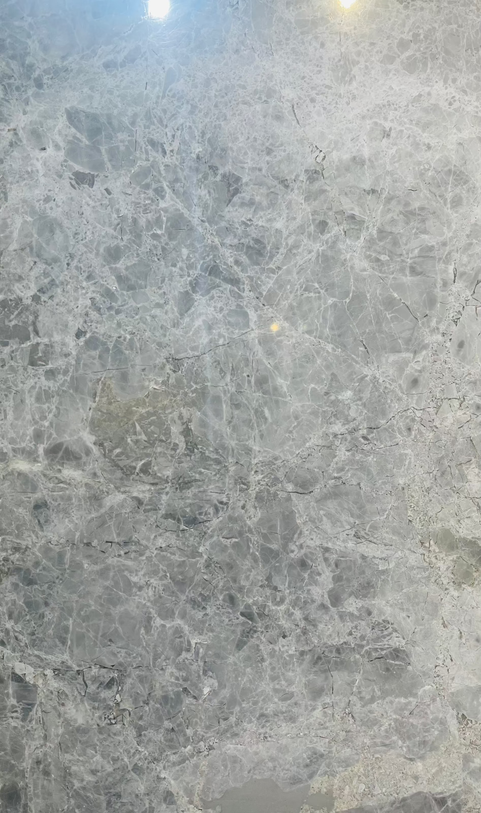 Polished Tundra Gray marble tile 12x24 with fine veining