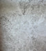 Tundra Gray Marble Tile 18x18 polished finish with soft gray veining