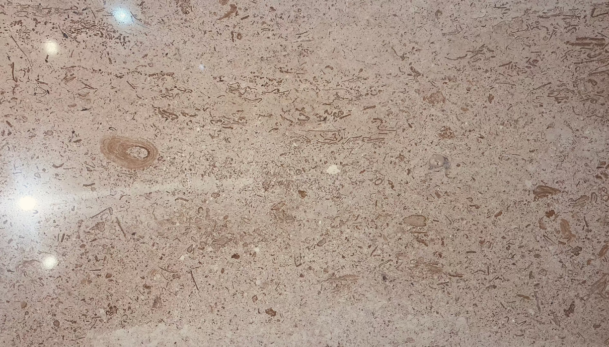 Close-up of Walnut Vein Cut 12x24 tile showing horizontal veining and gloss