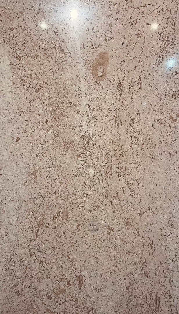 Flat view of Walnut Vein Cut Travertine Tile in polished finish, 12x24 size