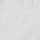 Close-up of Carrara White Marble tile showing soft gray veining on white background