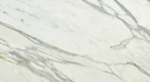 Close-up of Calacatta Gold 12x24 tile showing natural veining detail