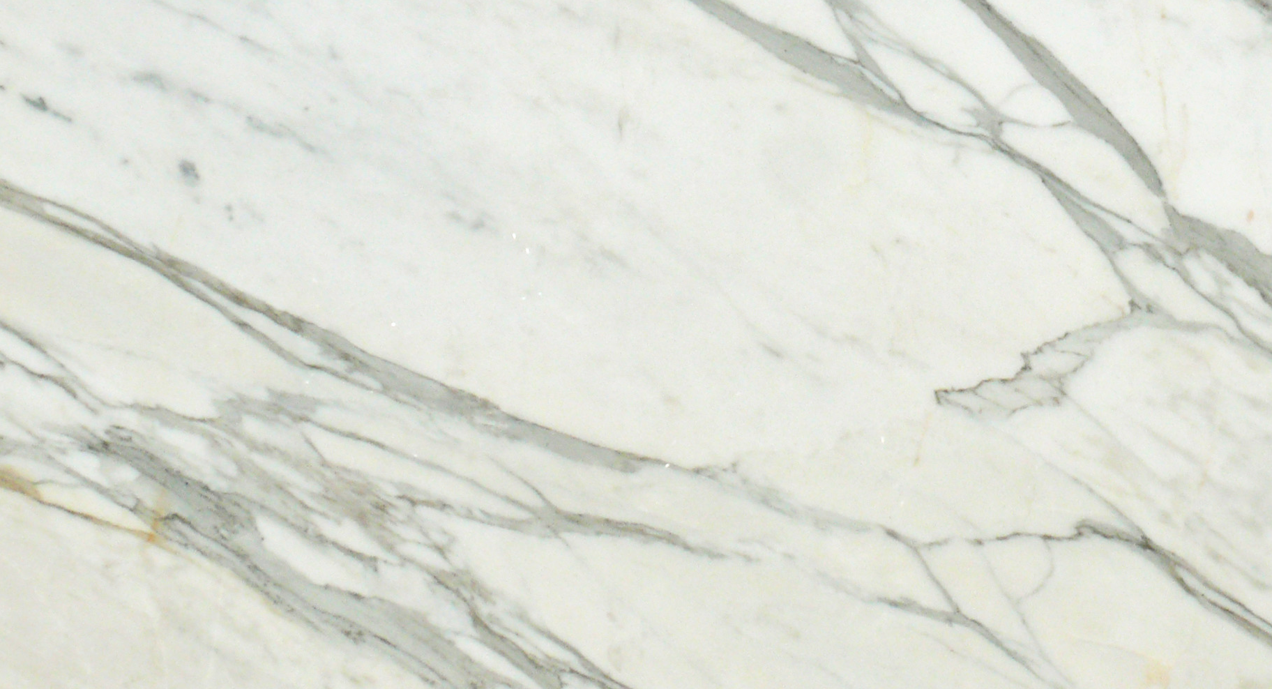 Close-up of Calacatta Gold 12x24 tile showing natural veining detail