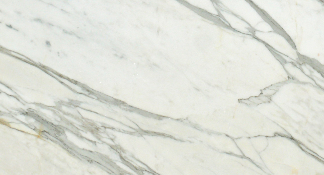 Close-up of Calacatta Gold 12x24 tile showing natural veining detail