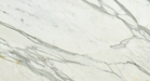 Close-up of Calacatta Gold 12x24 tile showing natural veining detail
