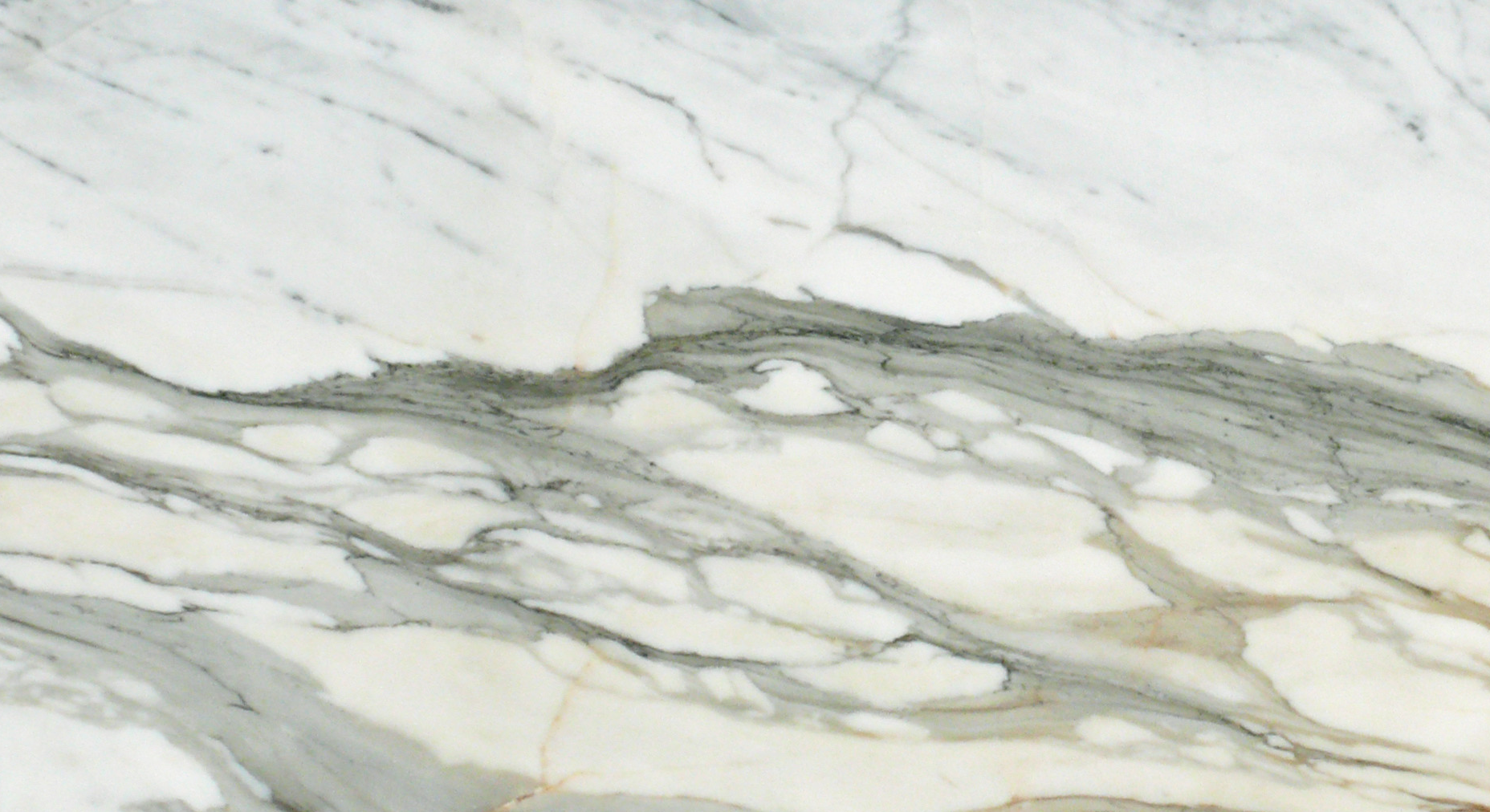 Flat view of Calacatta Gold 12x24 marble tile in polished finish