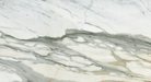 Flat view of Calacatta Gold 12x24 marble tile in polished finish