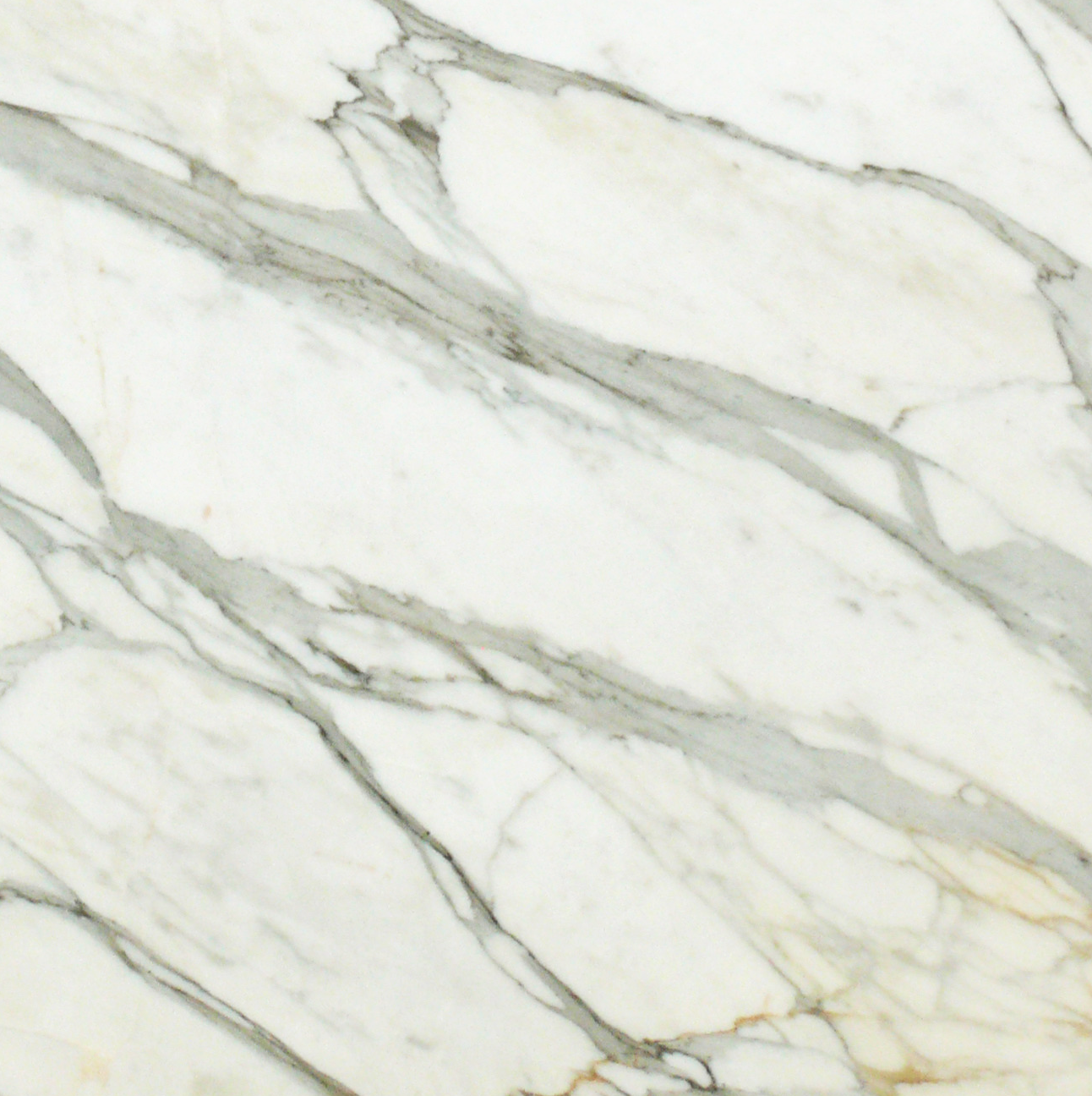 Close-up of Calacatta Gold Marble showing rich gold veining on white background