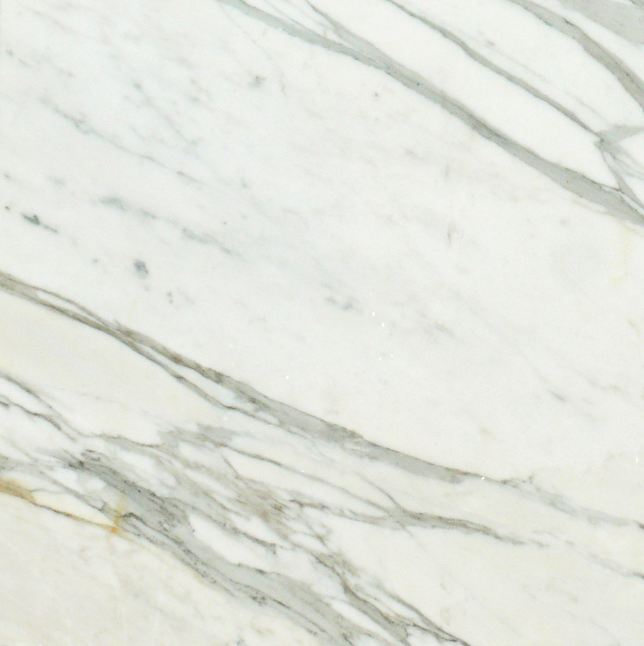 Close-up of Calacatta Gold Marble showing rich gold veining on white background