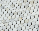 Close-up of Calacatta Gold marble penny rounds showing golden veining