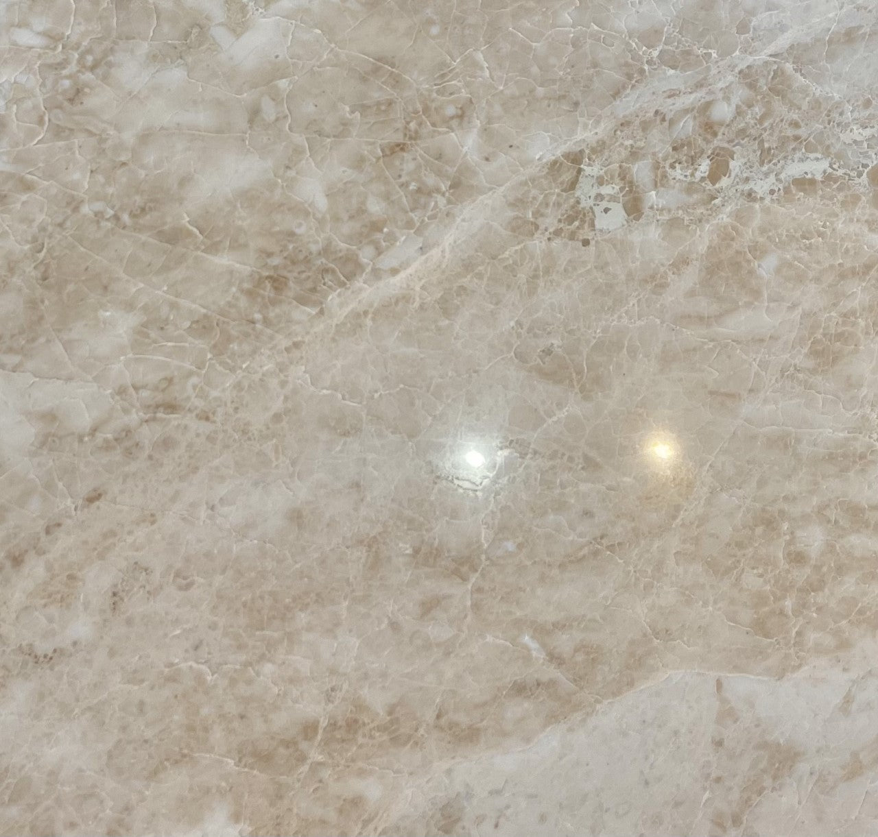 Flat view of Cappuccino Marble 12x12 Polished Tile with ivory and walnut tones