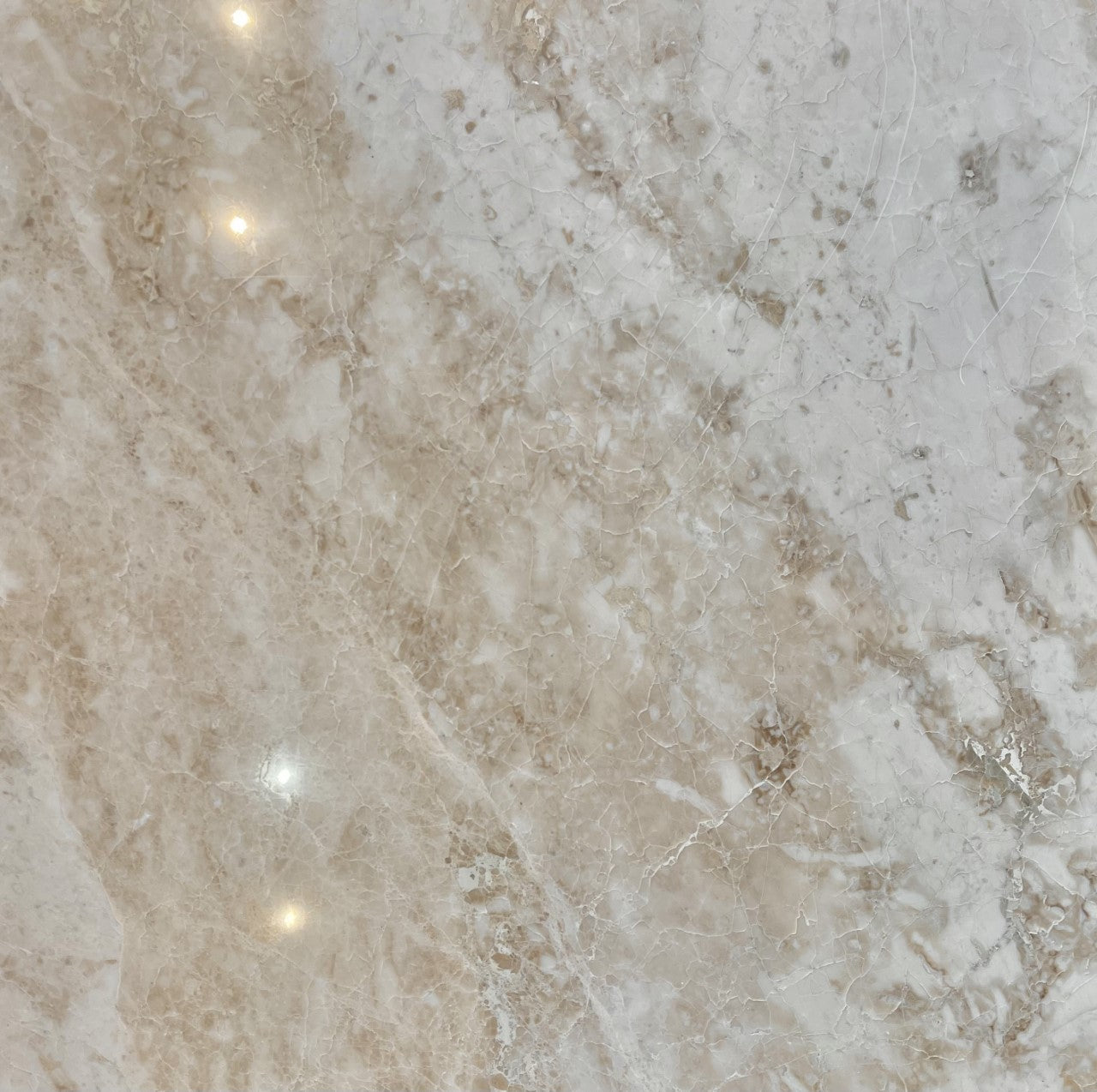 Flat view of Cappuccino Marble 24x24 tile with polished finish and natural ivory/walnut veining