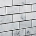 Close-up of Carrara White Marble Mosaic in brick layout showing polished surface and veining