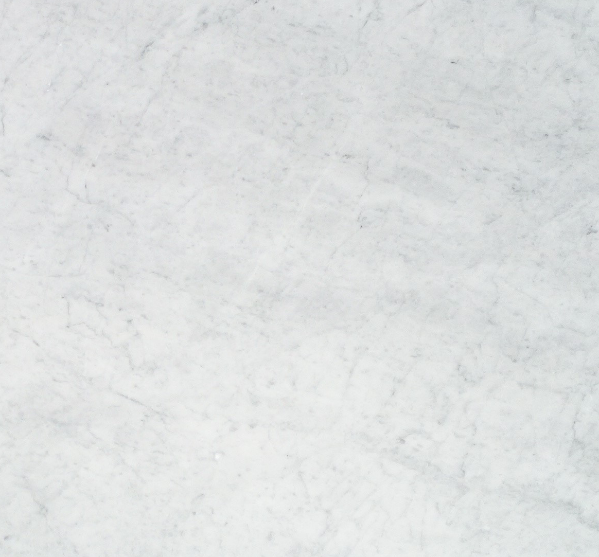 Close-up of Carrara White Marble 12x12 tile showing classic soft gray veining on white background
