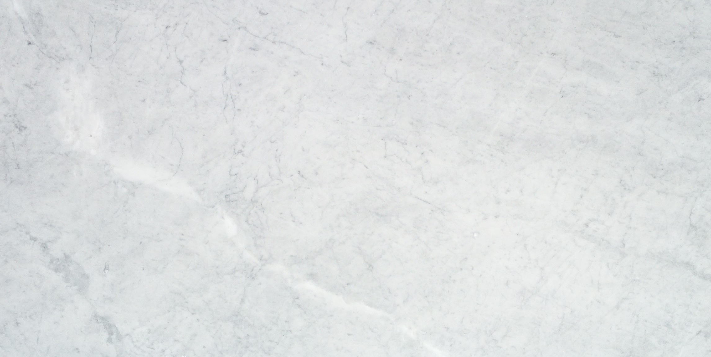 Carrara White Marble 12x24