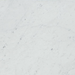 Close-up of Carrara White Marble tile showing soft gray veining on white background