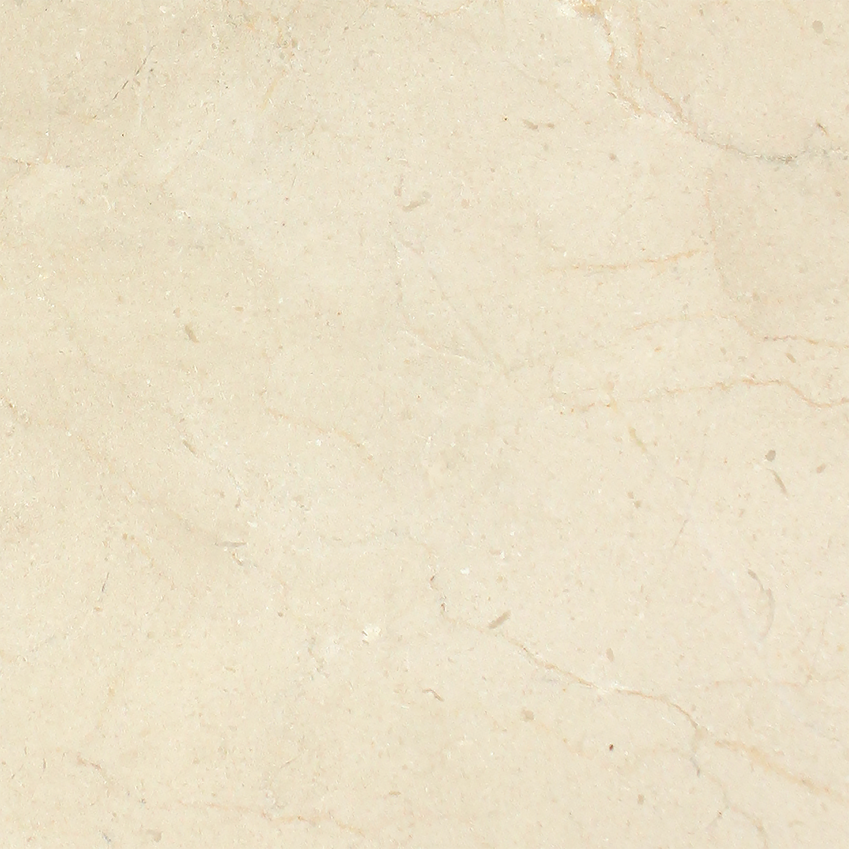 Crema Marfil 12x12 Marble Tile with polished beige surface and soft veining