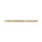 Front view of Durango Travertine Bullnose molding in honed finish