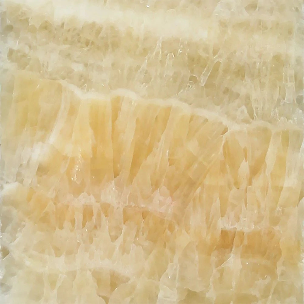 Flat view of 12x12 Honey Onyx Tile in polished finish with amber veining