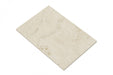 Flat view of Ivory Travertine Paver 16x24 with brushed finish