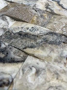 Detail of tumbled arched travertine in soft cream and gray tones