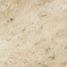 Philadelphia Travertine 6x6 tumbled tile flat view