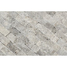 Close-up of Silver Travertine Mosaic 1x2" showing rough split face texture and natural color blend