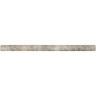 Flat view of Silver Travertine Bullnose Molding in honed finish, 3/4x12"
