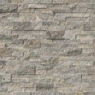 Flat view of Silver Travertine Ledger Panel 6x24 in split face finish