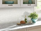Close-up of porcelain penny round tiles showing smooth glossy surface and circular shape